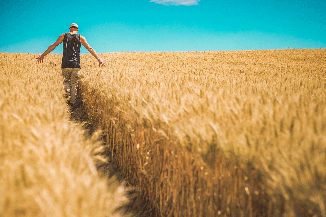 Temel Gıda Maddeleri