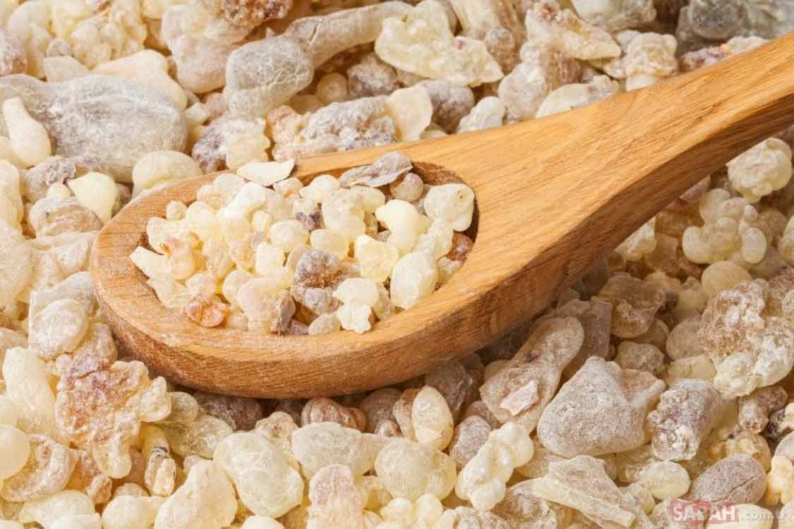 Sandaloz sakızı nedir